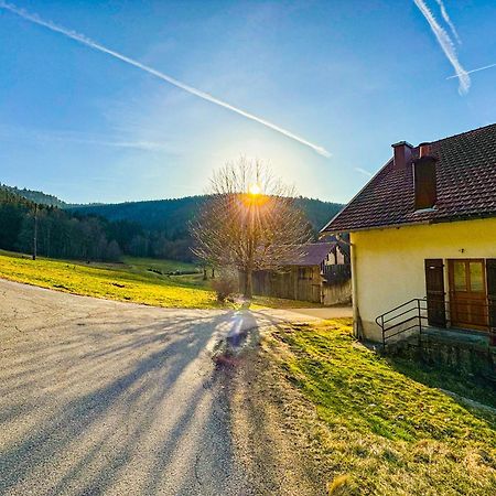 Chalet Cosy Lisiere De Foret クソンリュプト・ロンジュメール エクステリア 写真