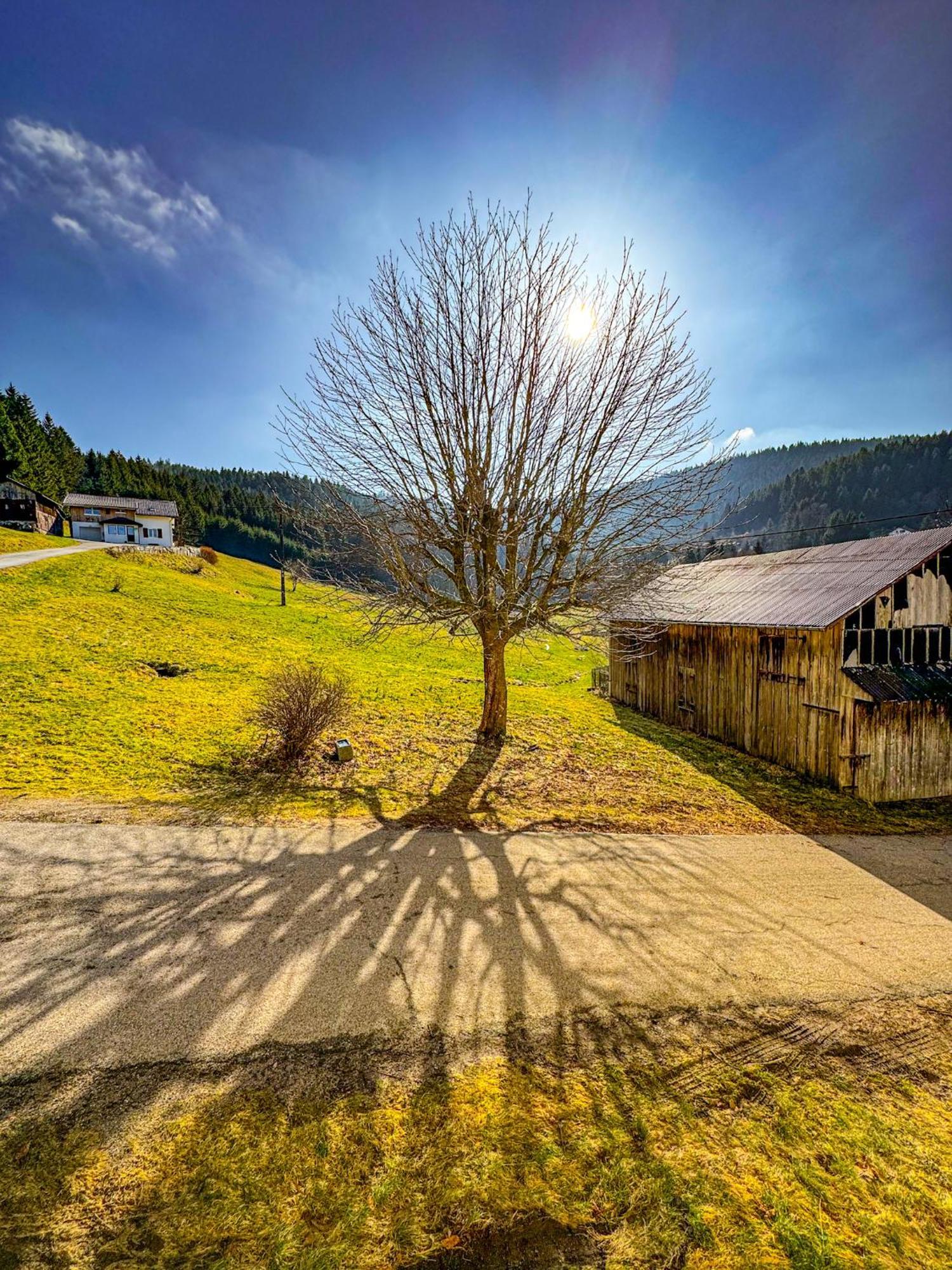 Chalet Cosy Lisiere De Foret クソンリュプト・ロンジュメール エクステリア 写真