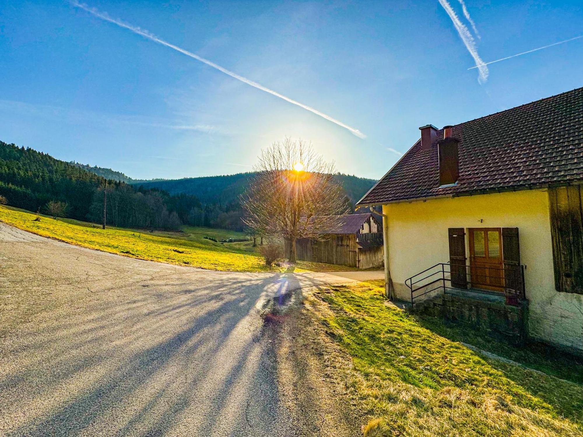 Chalet Cosy Lisiere De Foret クソンリュプト・ロンジュメール エクステリア 写真