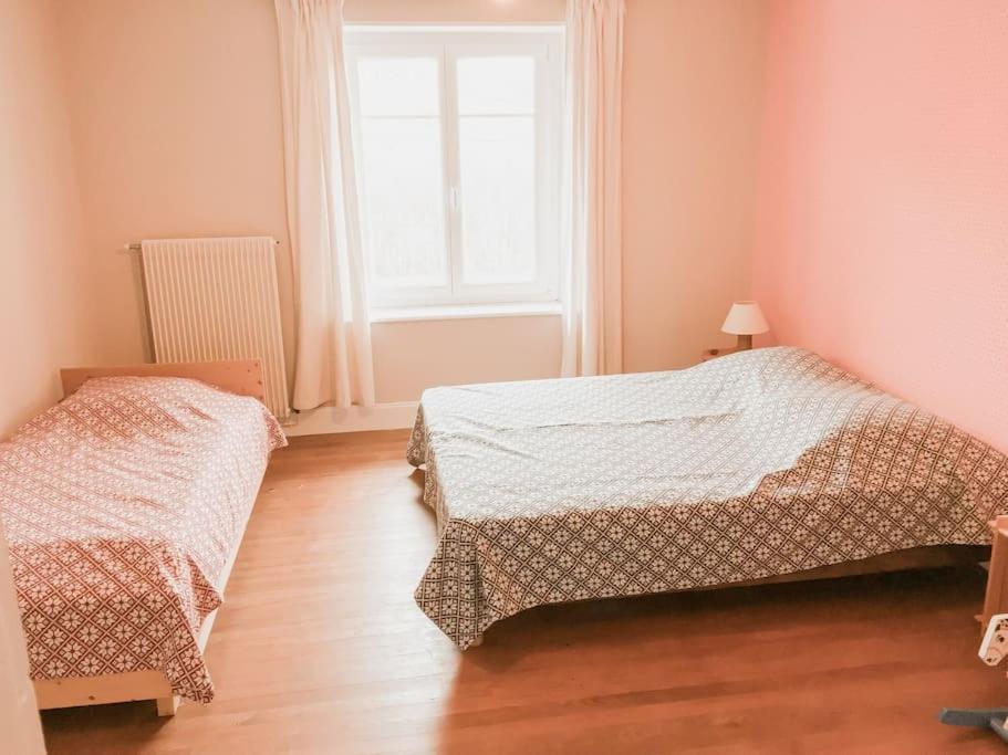 Chalet Cosy Lisiere De Foret クソンリュプト・ロンジュメール エクステリア 写真