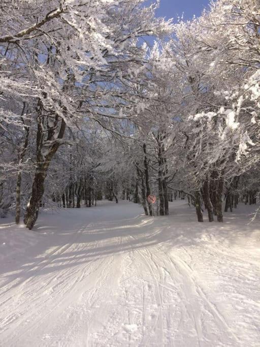 Chalet Cosy Lisiere De Foret クソンリュプト・ロンジュメール エクステリア 写真